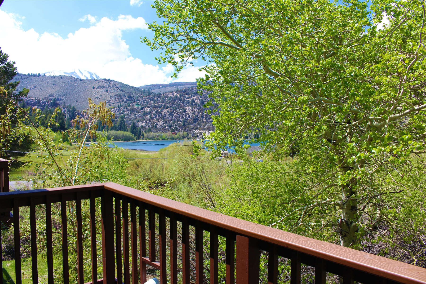 Sierra Suns June Lake