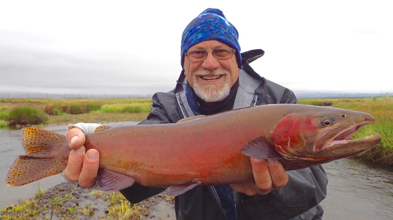 cutthroat trout May 2015