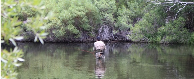 fly fishing for brown trout on rush creek