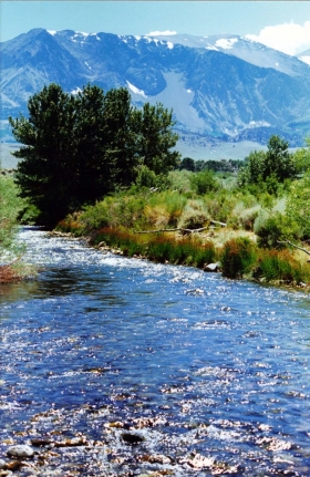 rush creek near hwy395